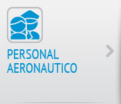 Icono Personal Aeronáutico